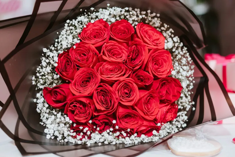 Flores para Regalar